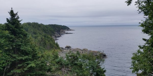 CapeBretonVista1