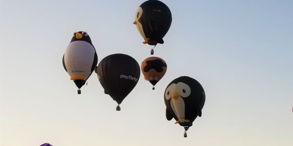 FlockofBird-Balloons